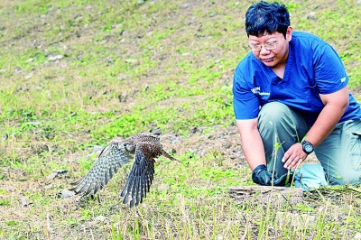 海之角山之巅 守护猛禽向南迁