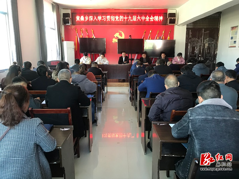黄桑.jpg