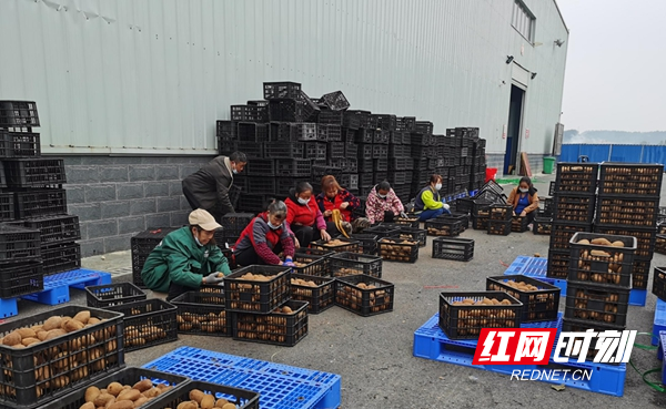 图片5.jpg 图片5.jpg