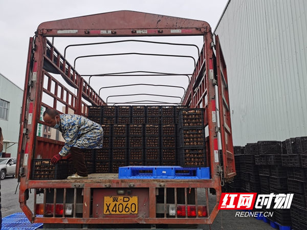 图片6.jpg 图片6.jpg