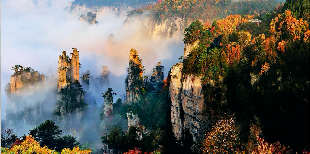 屏幕快照 2021-11-29 上午9.40.39.png