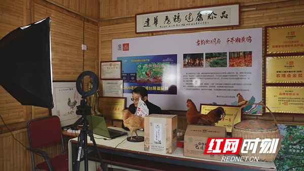 图片12.jpg