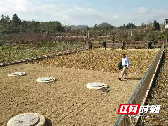 图片2.marked.jpg