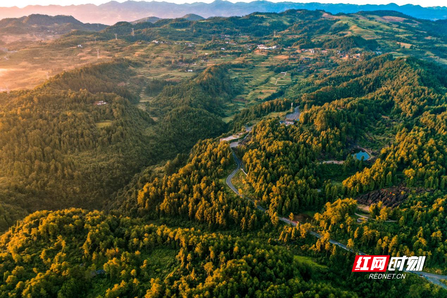 图片3_副本.png 图片3_副本.png