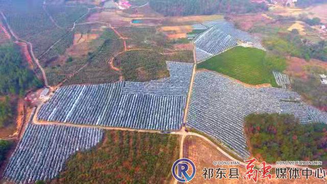 w_图片3.jpg
