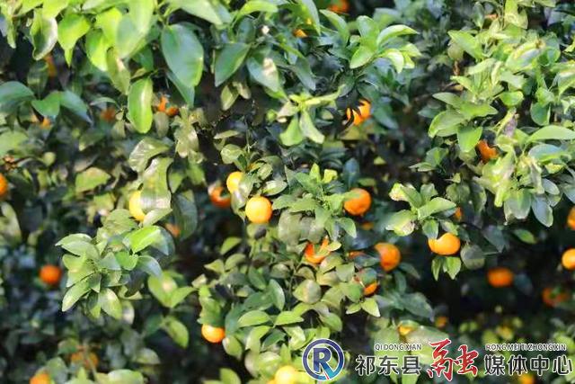 w_图片2.jpg