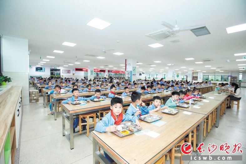 　　长沙高新区小学生在高标准的学校食堂里用餐。  长沙晚报通讯员 尹婷 摄