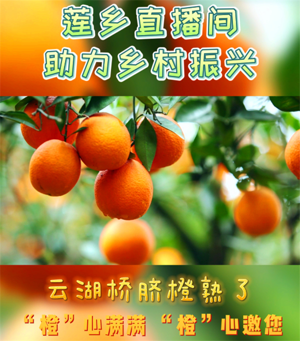 QQ图片20211201082718.jpg
