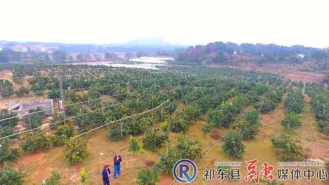 w_图片4.jpg