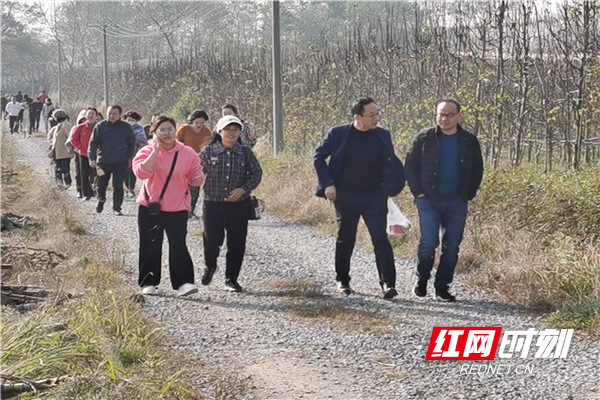 参观梨树基地.jpg