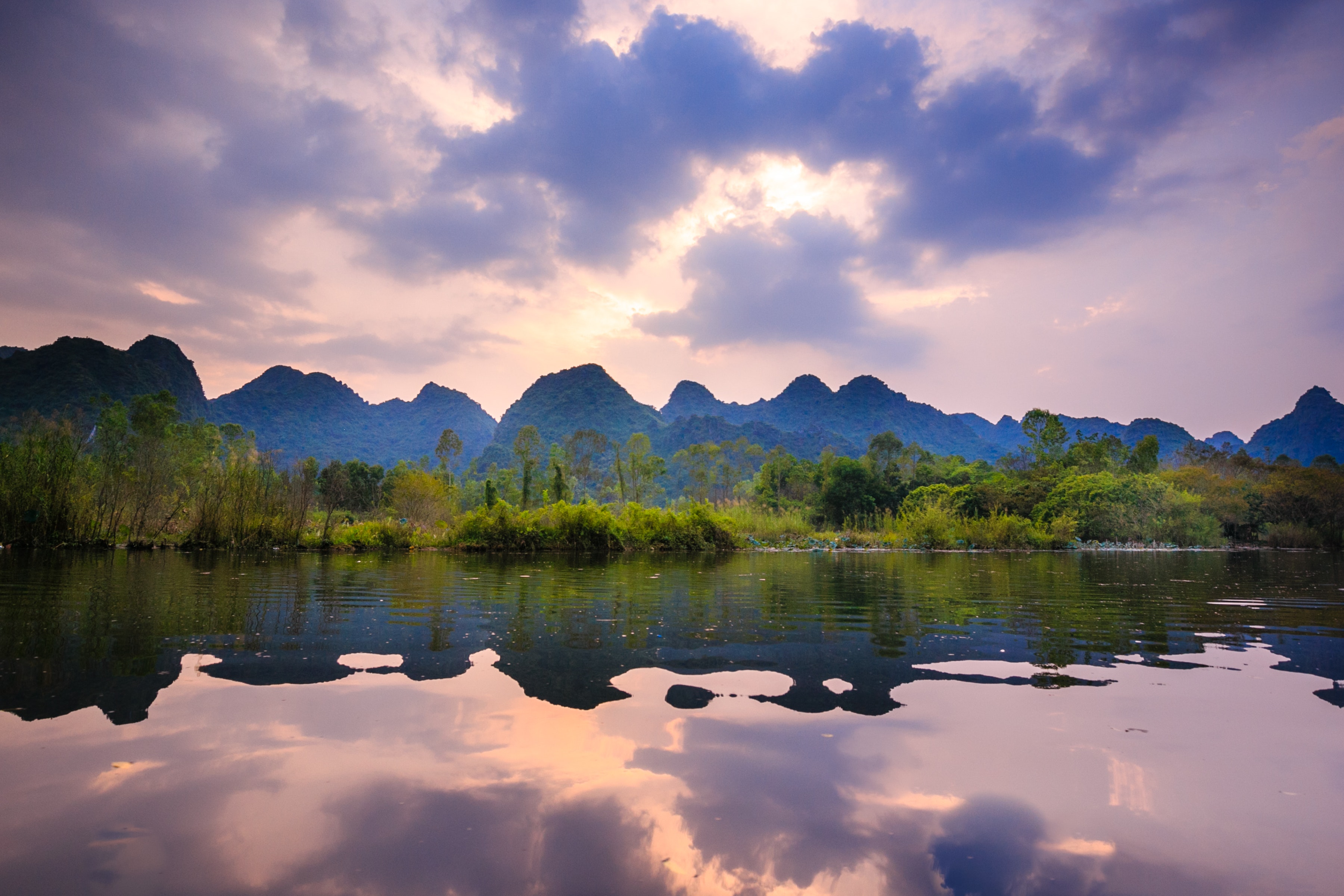 pexels-quang-nguyen-vinh-2132354.jpg pexels-quang-nguyen-vinh-2132354.jpg