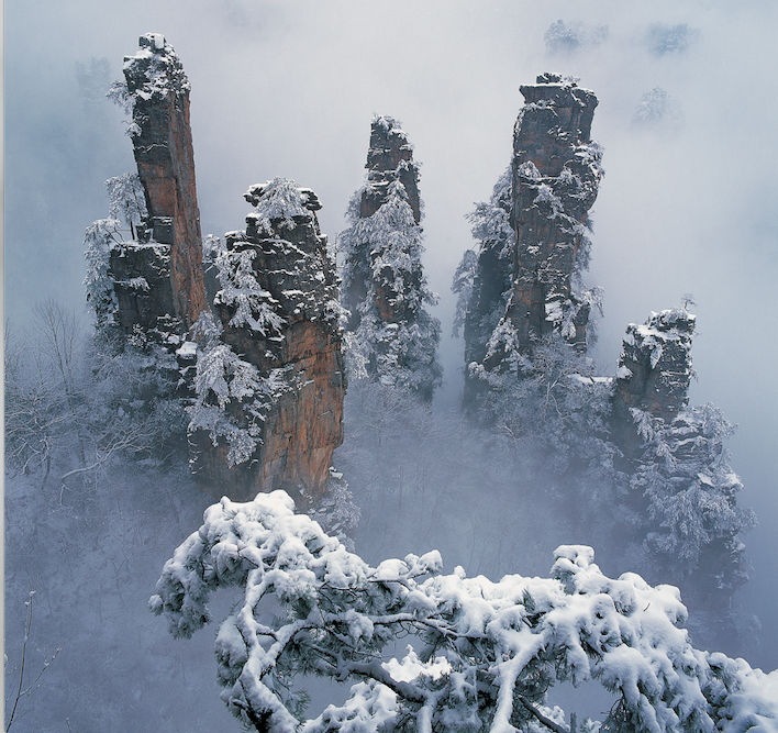 屏幕快照 2021-12-02 上午9.47.05.png