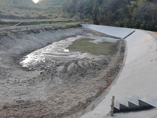 水塘护坡护理.jpg 水塘护坡护理.jpg