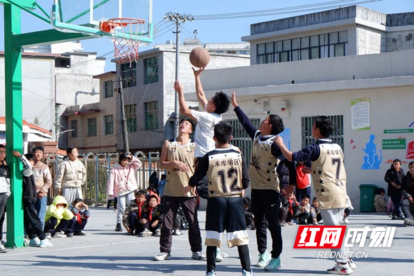 图片2.jpg 图片2.jpg