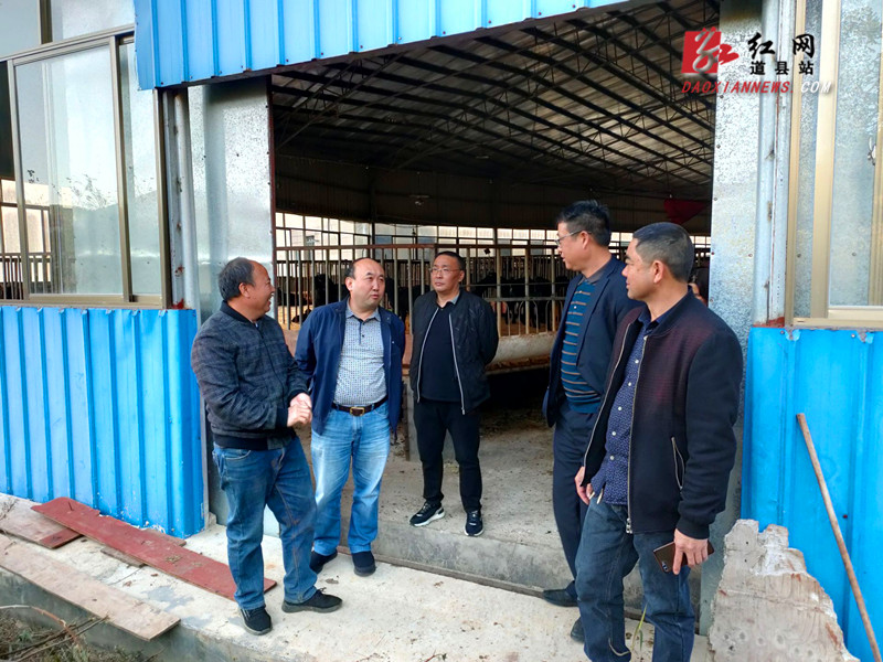 QQ图片20211203104207.jpg