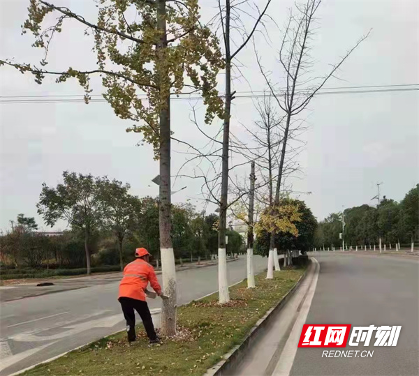 园林1.jpg