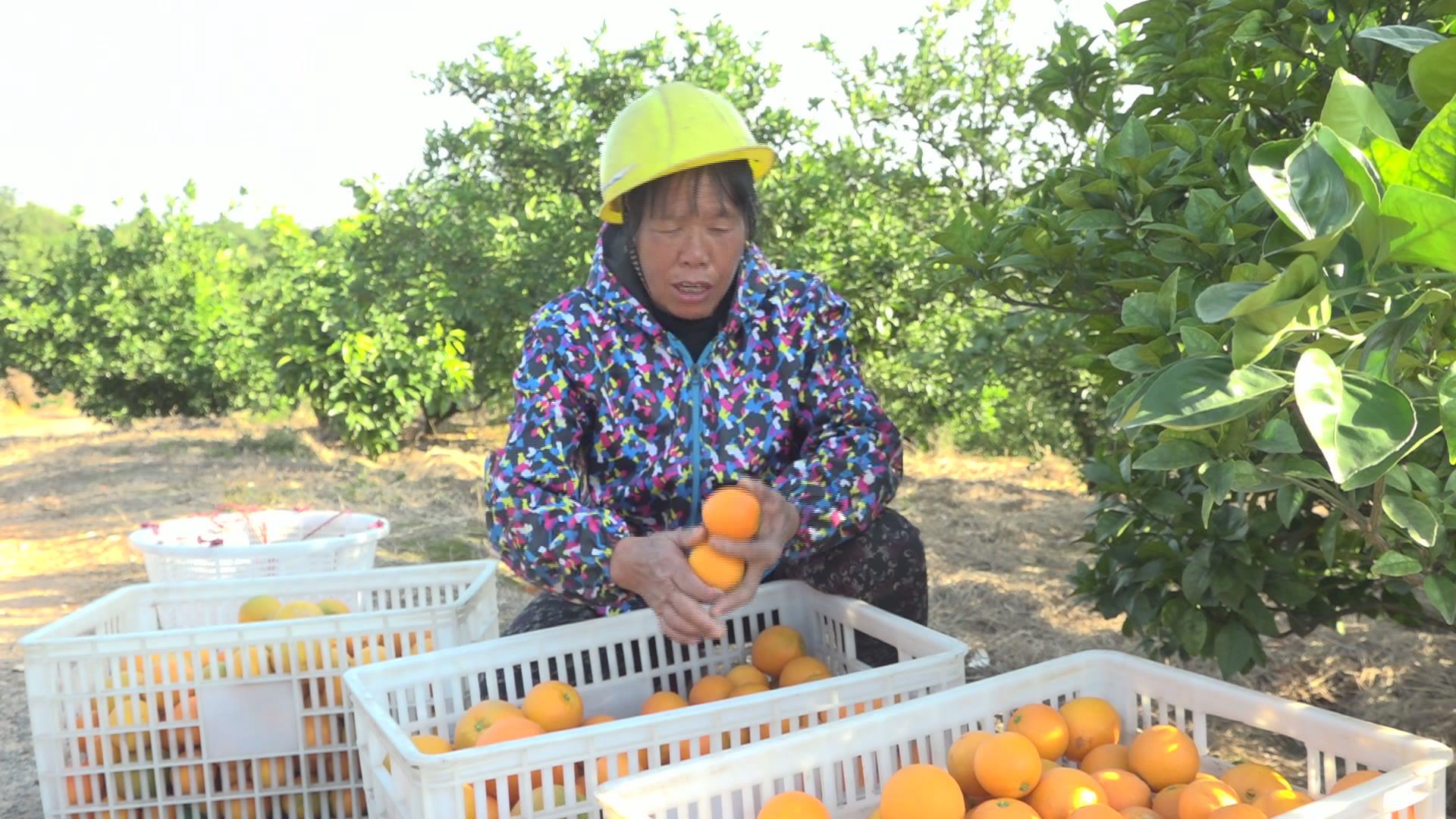 暴风截图20211271509861296.jpg