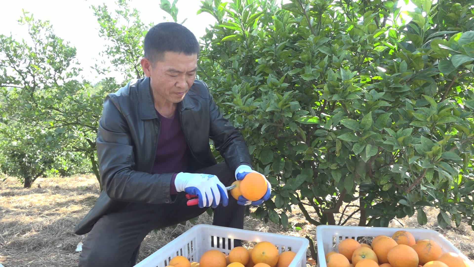 暴风截图20211271509807796.jpg