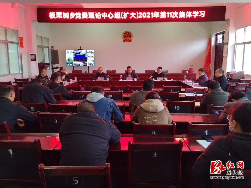 板栗树乡深入学习贯彻党的十九届六中全会精神.jpg