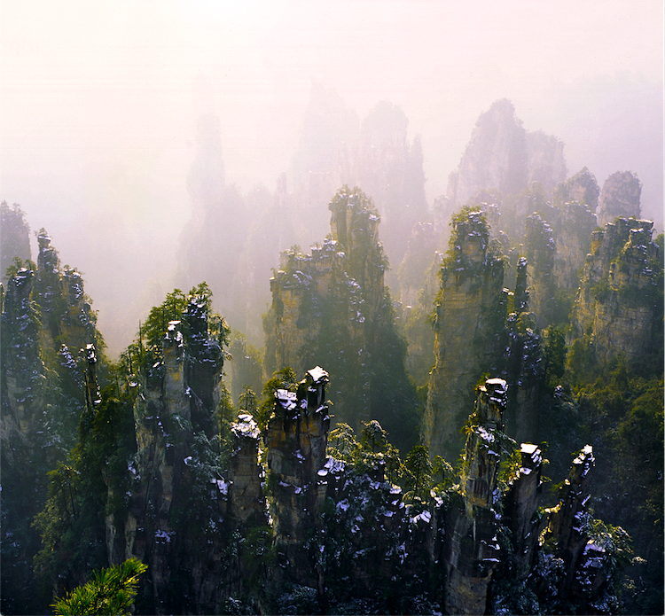 屏幕快照 2021-12-08 上午9.34.23.png