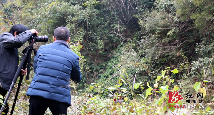 艺术协会-4.Bmp 艺术协会-4.Bmp