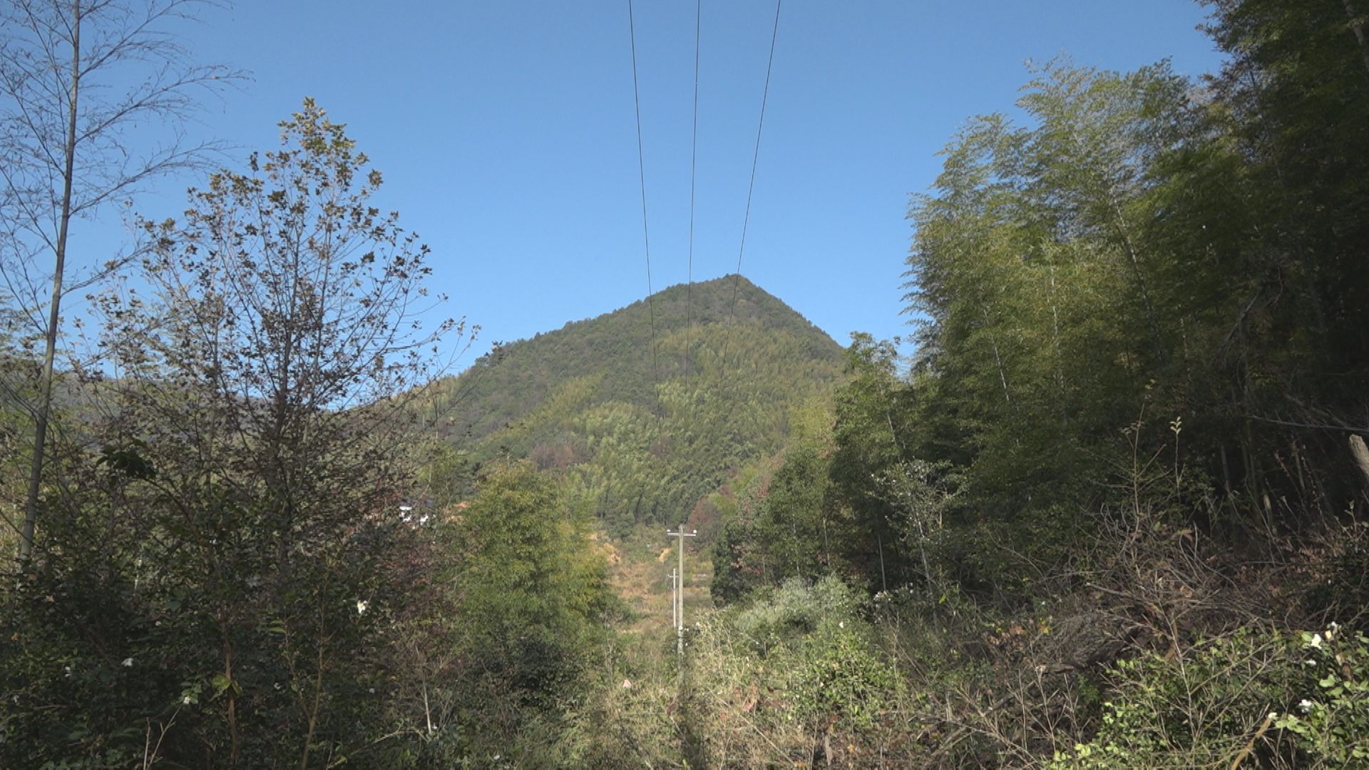 Still1208_00017.jpg