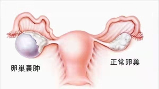 图片3_副本.jpg