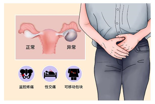 图片2_副本.jpg