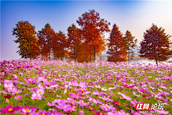 6_副本1.jpg 6_副本1.jpg