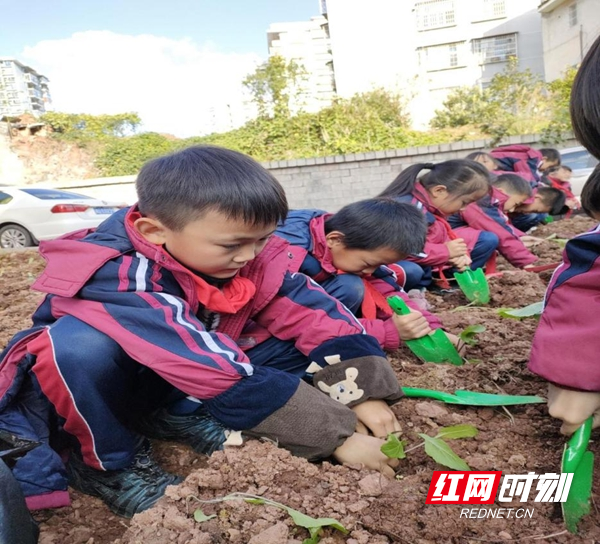 图片1.jpg 图片1.jpg