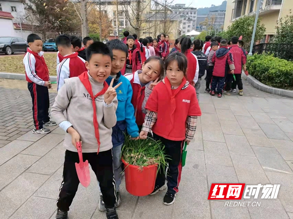 图片2.jpg 图片2.jpg