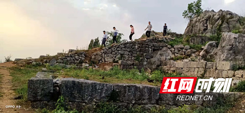 宁远：“一村一品”激活内生动力   兴旅游强产业绘就乡村振兴新画卷02_副本500.jpg