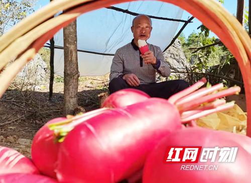 宁远：“一村一品”激活内生动力   兴旅游强产业绘就乡村振兴新画卷03_副本500.jpg