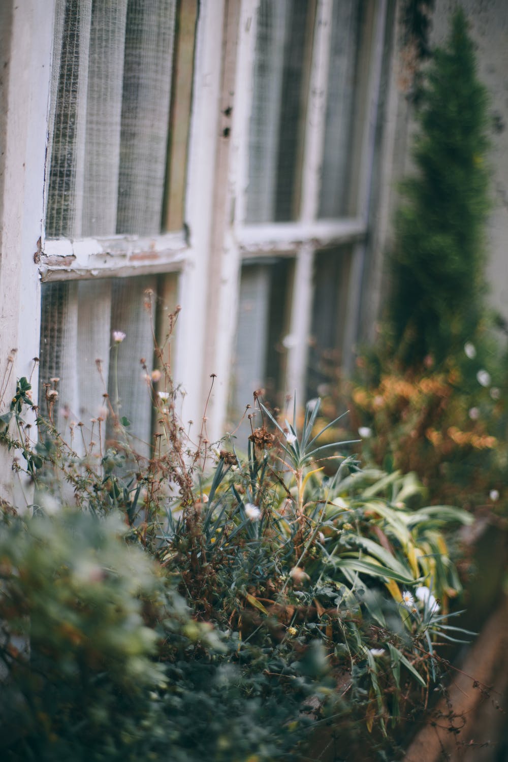 pexels-photo-4916147.jpeg