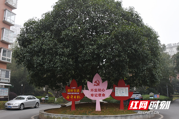 沅江市桔城世家小区。.jpg
