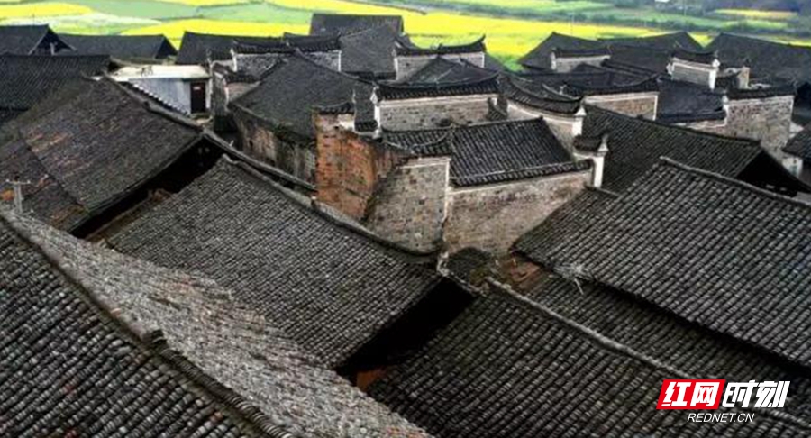 微信图片_20211214194838_副本.jpg