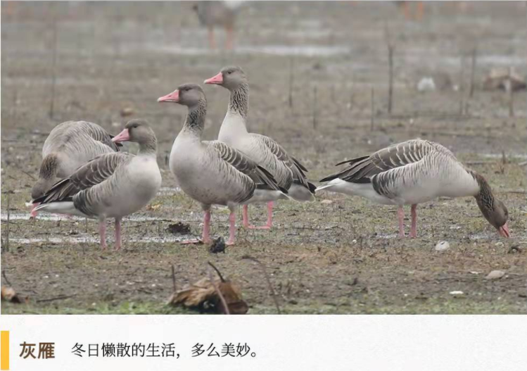 2e8a1e7b-be4c-4912-b1c0-1c1cab6f06b3.png 2e8a1e7b-be4c-4912-b1c0-1c1cab6f06b3.png