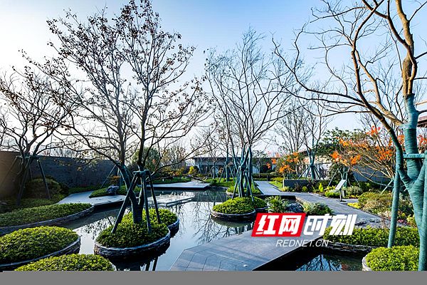 微信图片_20211216165350.jpg