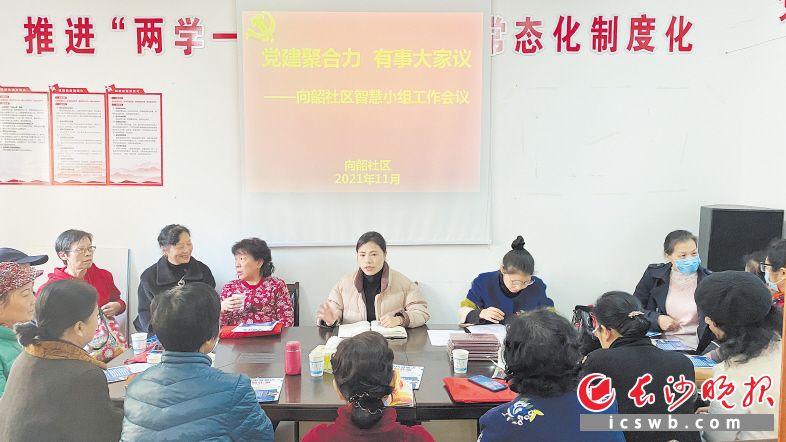 党建聚合力,有事大家议,朝阳街道向韶社区智慧小组正在商讨社区事宜。