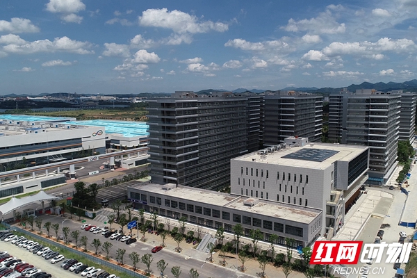 新金宝岳阳工厂的全景.jpg