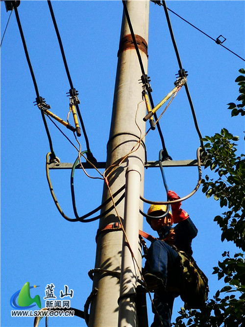 mmexport1639895643384.jpg