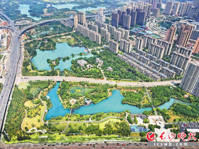 　　洋湖湿地公园提质改造项目一期已完成，通过营造不同景观主题、景观效果，为市民打造俯仰皆风景的“精美环境”。长沙晚报全媒体记者 陈焕明 通讯员 李文君 摄影报道