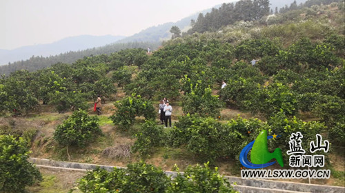 微信图片_20211222171907.jpg 微信图片_20211222171907.jpg