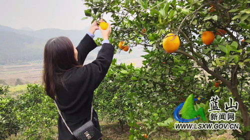 微信图片_20211222171842.jpg 微信图片_20211222171842.jpg