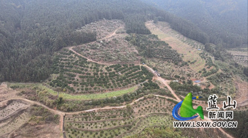 微信图片_20211222171911.jpg 微信图片_20211222171911.jpg