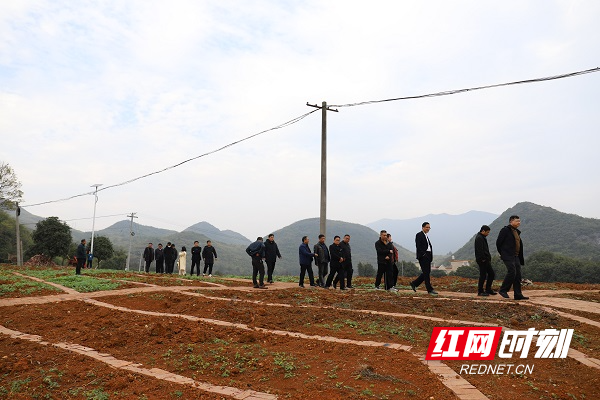 会前，参会人员对初具规模的校外劳动实践基地进行实地考察.JPG