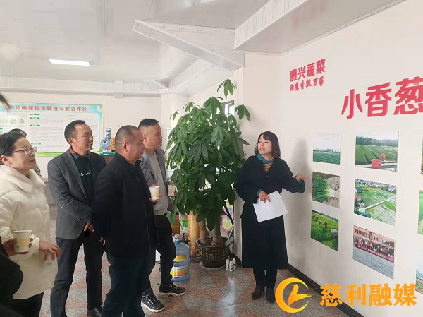 1_副本.jpg 1_副本.jpg