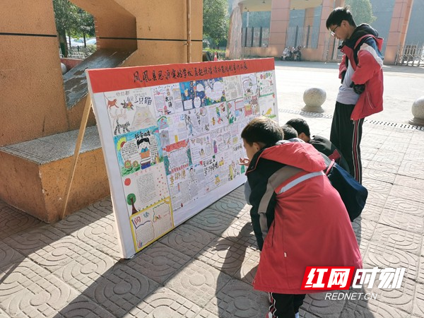 图片11.jpg