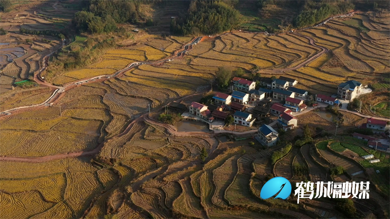 怀化市鹤城区：推进冬季高标准农田建设 下好粮食安全“先手棋”（半成品）.mp4_20211224_165154.779.jpg