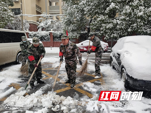 图片51.png 图片51.png